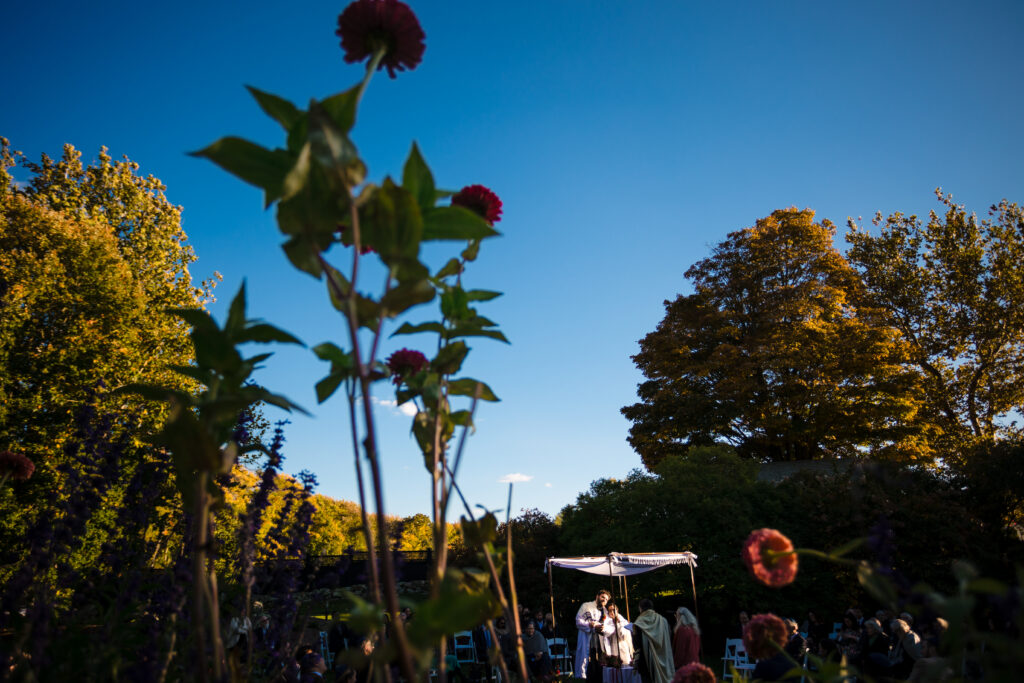 A couple stands under a canopy at an outdoor ceremony, framed by tall flowers, with guests seated nearby and trees in the background.